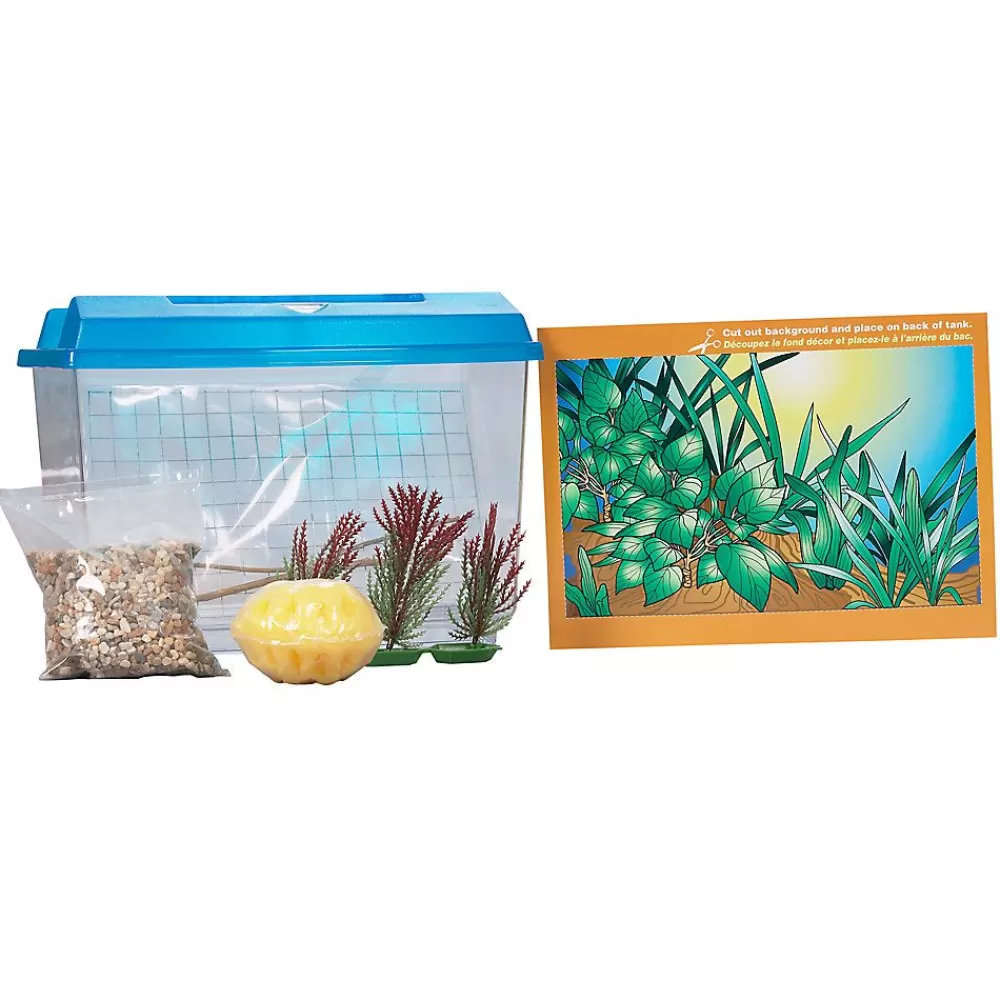 Terrariums<All Living Things ® Hermit Crab Starter Kit Blue