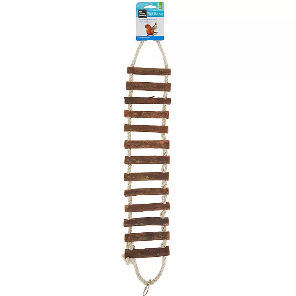 Toys, Perches, & Decor<All Living Things ® Natural Wood Ladder