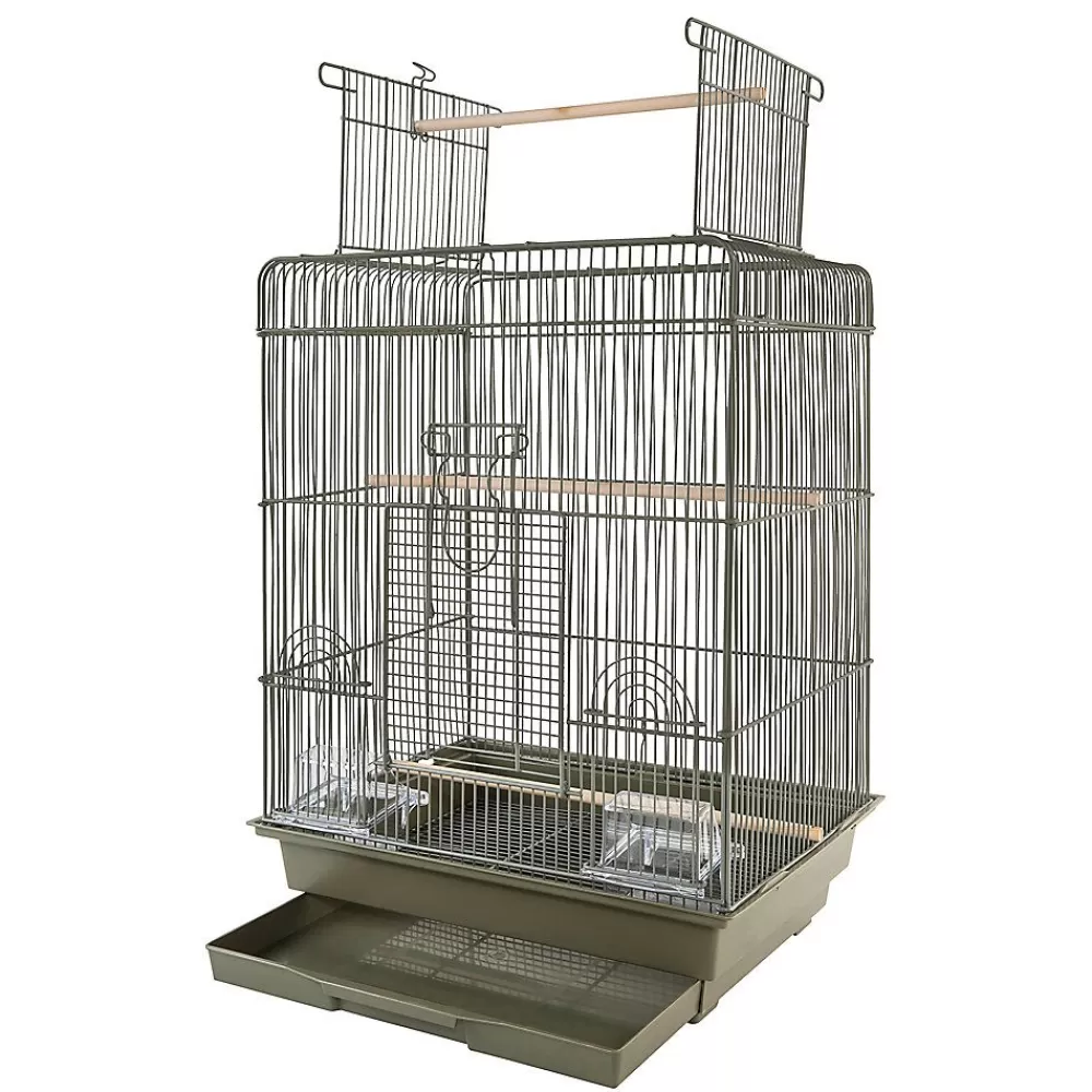 Cages<All Living Things ® Perch & Play Bird Home