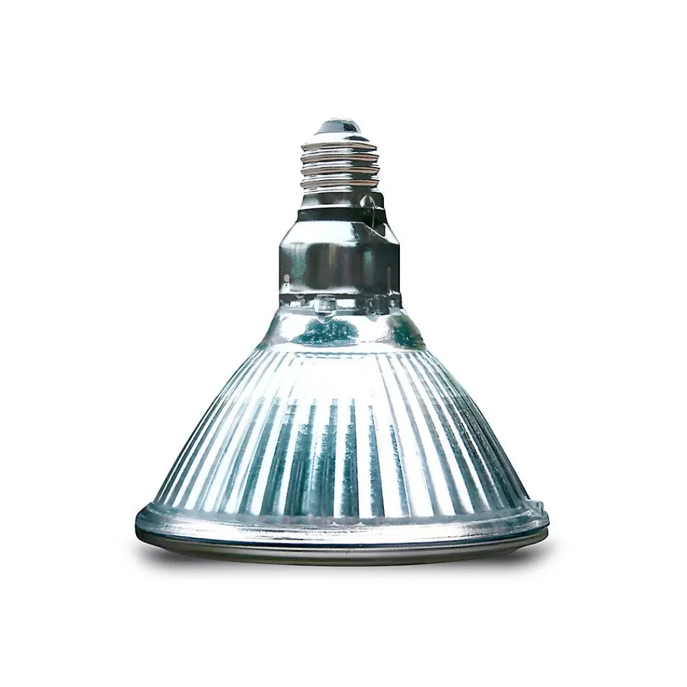 Bulbs & Lamps<Arcadia Reptile Halogen Flood Lamp