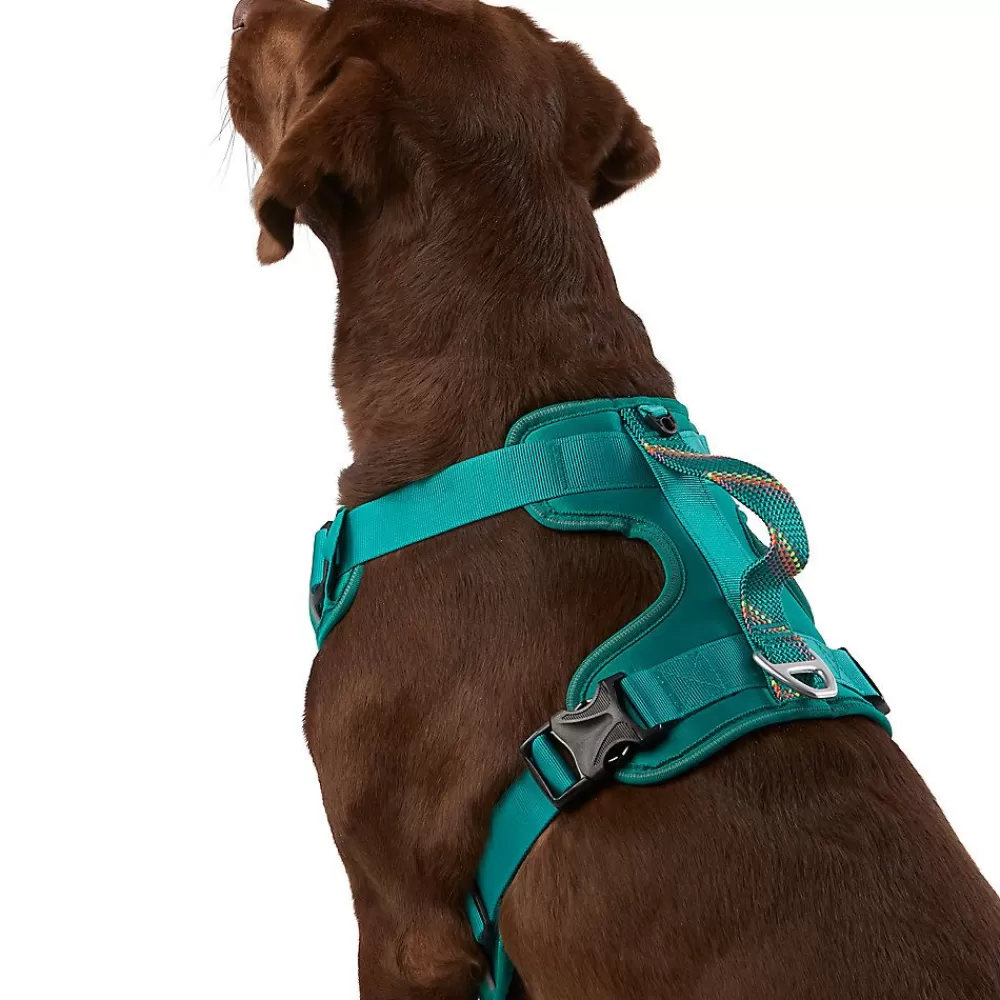 Collars, Harnesses & Leashes<Arcadia Trail Neoprene Dog Harness - Reflective, Water-Resistant Dark Green
