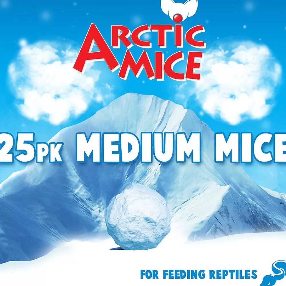 Food<Arctic Mice Frozen Medium Mice