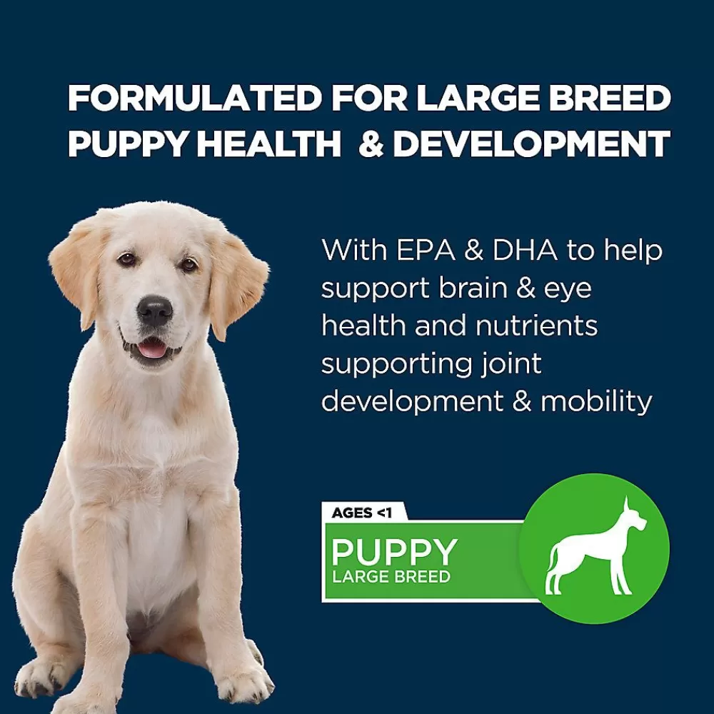 Puppy Food<Authority ® Everyday Health Large Breed Puppy Dry Dog Food - Chicken