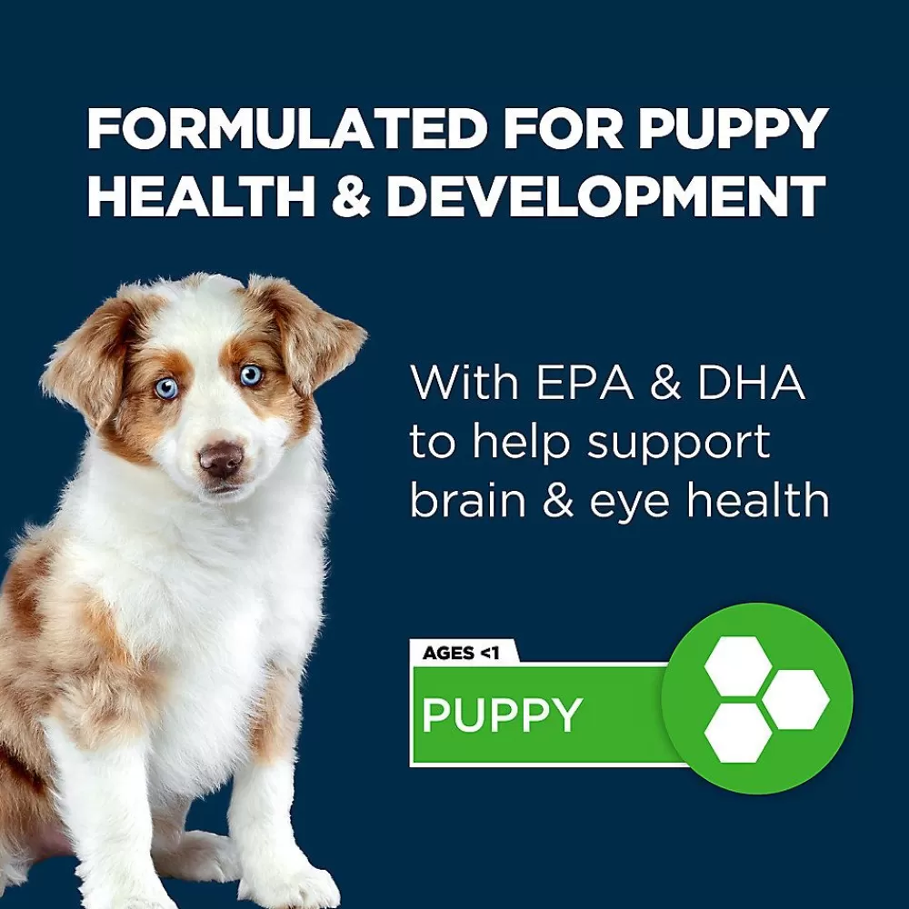 Puppy Food<Authority ® Everyday Health Puppy Dry Dog Food - Chicken