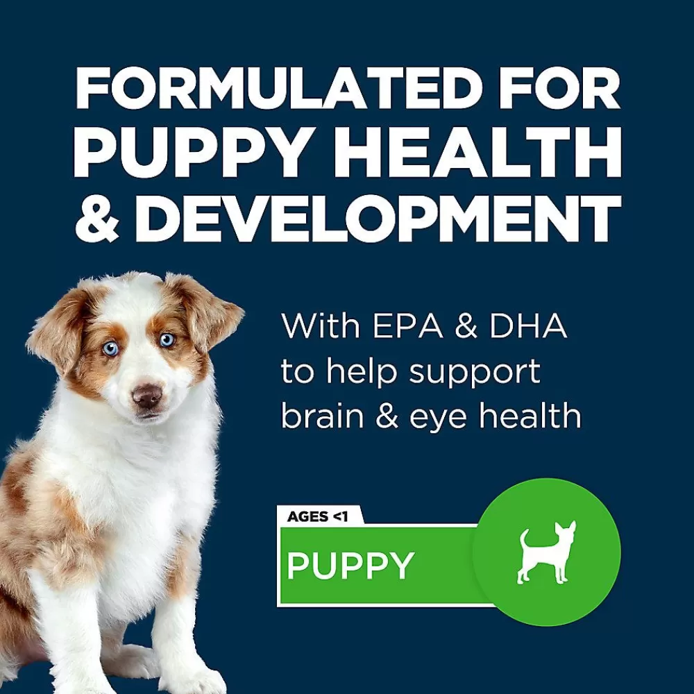 Puppy Food<Authority ® Everyday Health Puppy Wet Dog Food - 13 Oz.