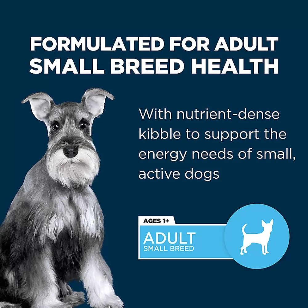 Dry Food<Authority ® Everyday Health Small Breed Adult Dry Dog Food - Chicken