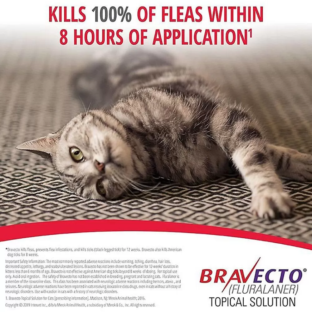 Flea & Tick<Bravecto Topical Solution For Cats, 6.2 - 13.8 Lbs 250 Mg Blue