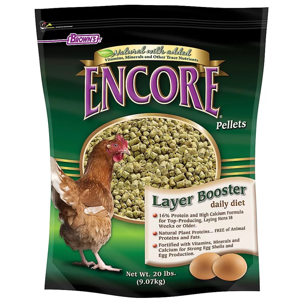 Chicken<Brown's Encore Layer Chicken Feed