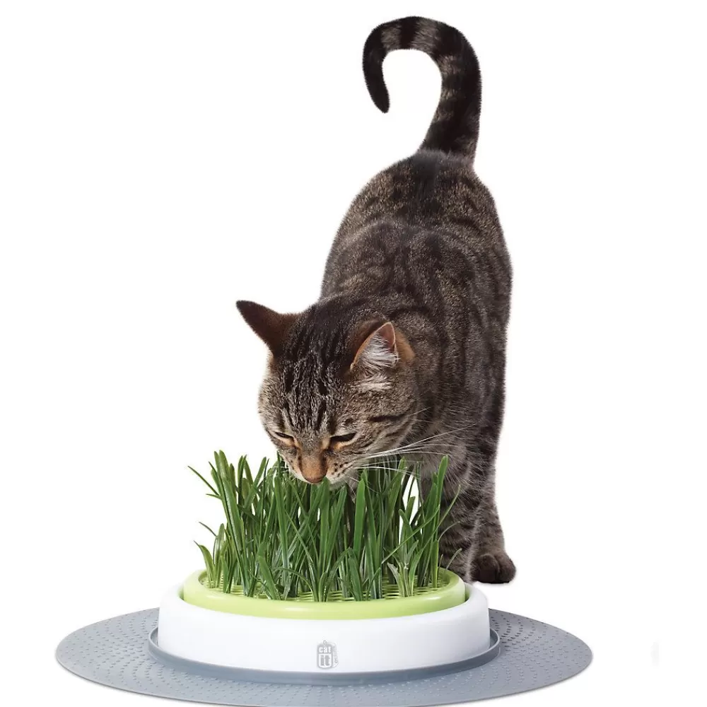 Catnip & Grass<Catit ® Senses Cat Grass Garden Kit