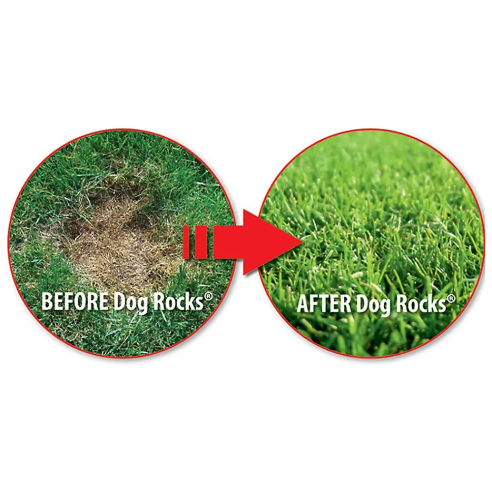 Outdoor Care<Dog Rocks ® Lawn Burn Patch Preventative