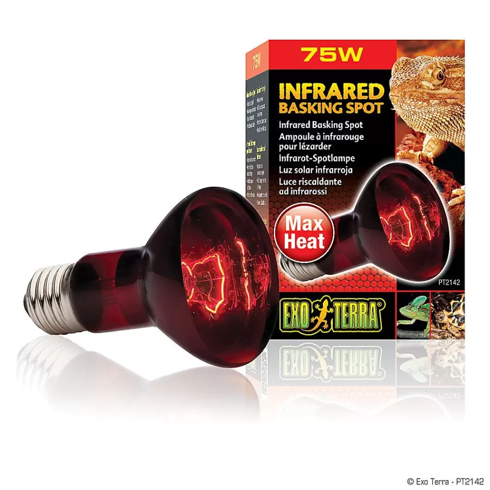 Bulbs & Lamps<Exo-Terra Exo Terra® Infrared Basking Spot