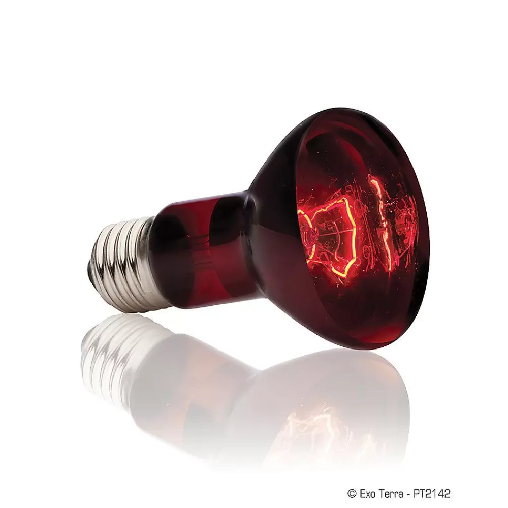 Bulbs & Lamps<Exo-Terra Exo Terra® Infrared Basking Spot
