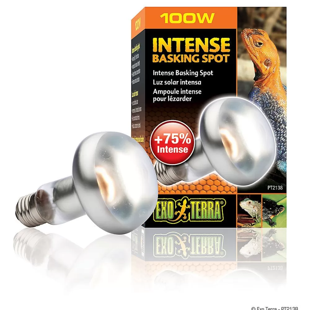 Bulbs & Lamps<Exo-Terra Exo Terra® Intense Basking Spot Light