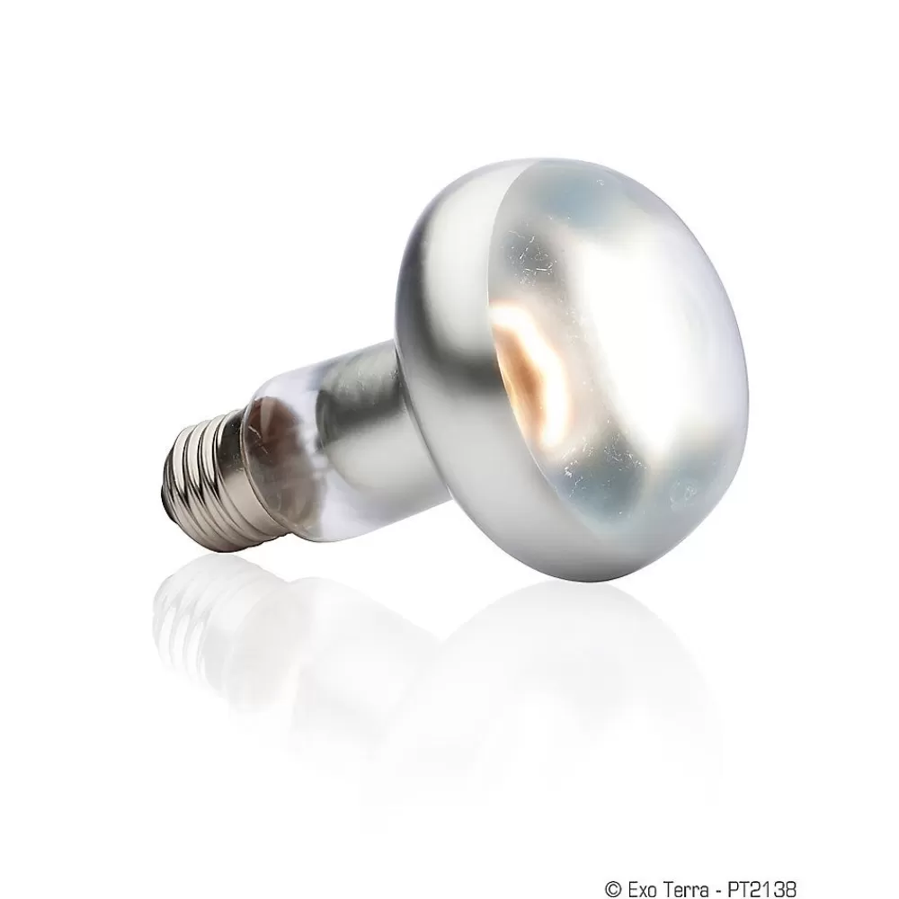 Bulbs & Lamps<Exo-Terra Exo Terra® Intense Basking Spot Light
