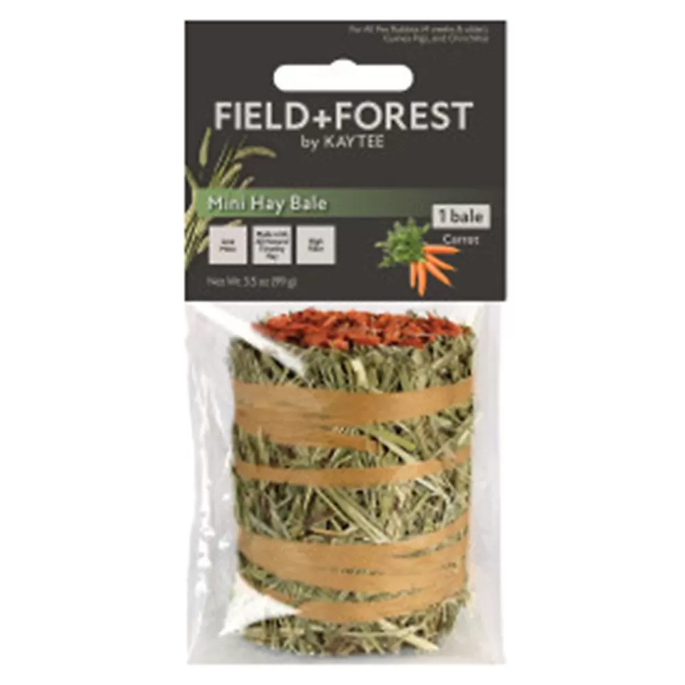 Hay<Kaytee Field+Forest By Mini Hay Bale - 1Pk