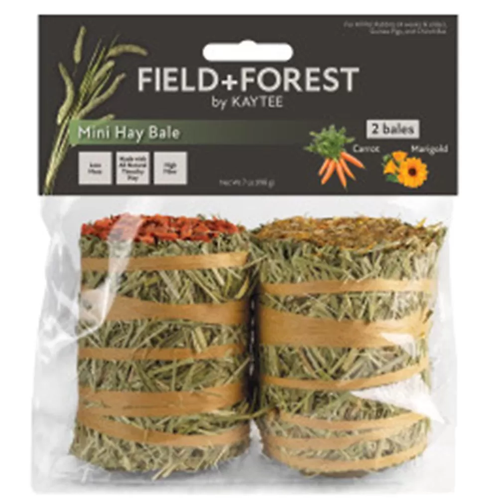 Hay<Kaytee Field+Forest By Mini Hay Bales - 2Pk