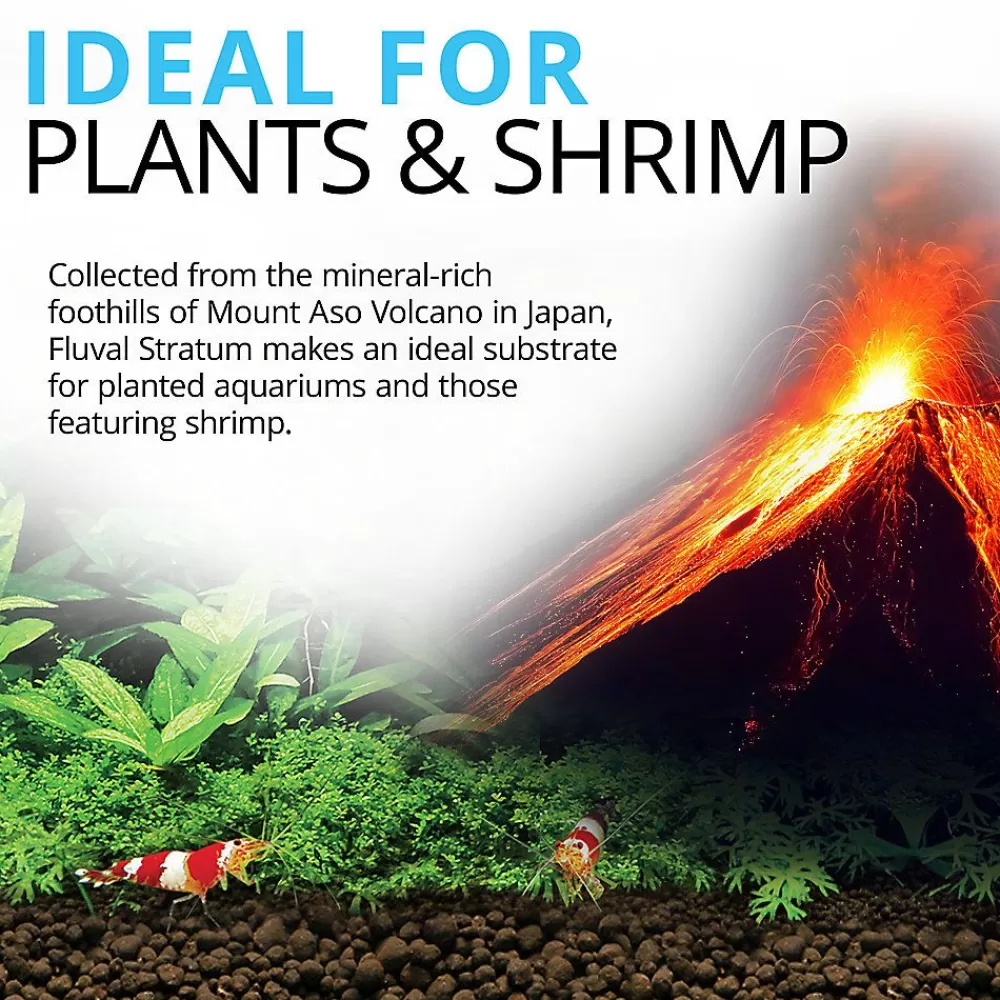 Decor, Gravel & Substrate<Fluval ® Plant Stratum Aquarium Substrate