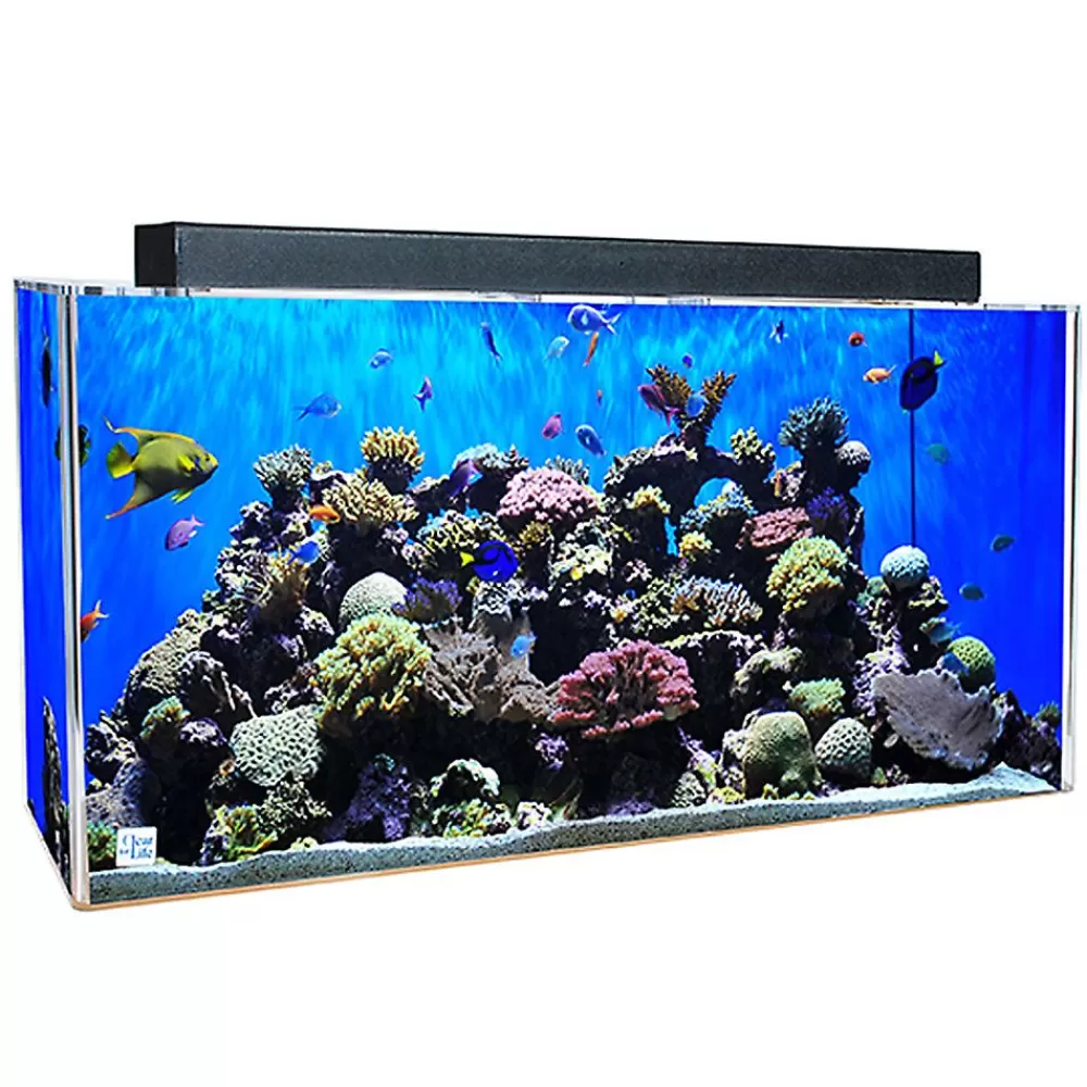 Tanks & Aquariums<Clear-For-Life For-Life 75 Gallon Rectangle Aquarium Clear
