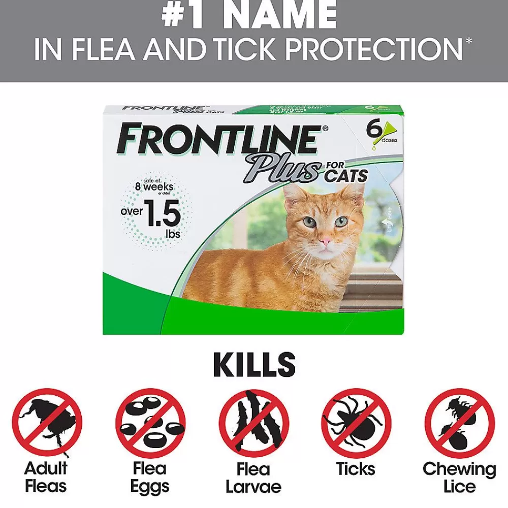 Flea & Tick<Frontline Plus Cat Flea & Tick Treatment