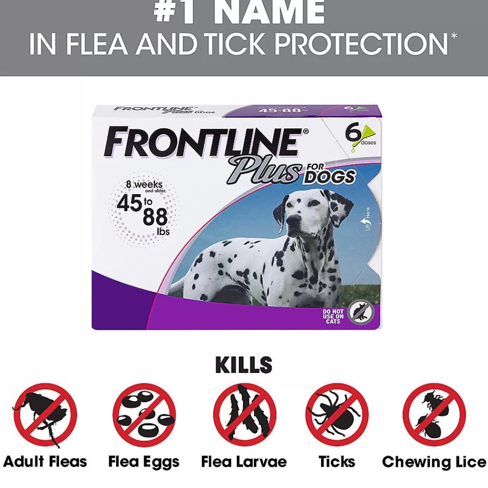 Flea & Tick<Frontline Plus Flea & Tick Dog Treatment 45-88 Lbs