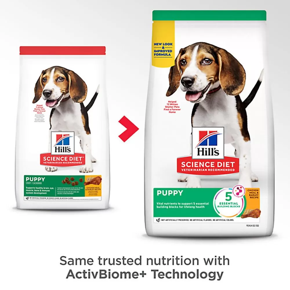 Puppy Food<Hill's Science Diet Puppy Dry Dog Food - Chicken & Barley