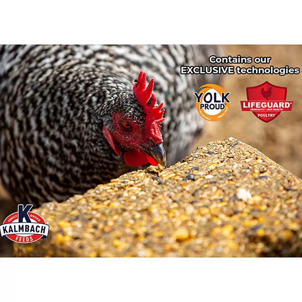 Chicken<Kalmbach Feeds ® Henhouse Reserve® Poultry Block Supplement