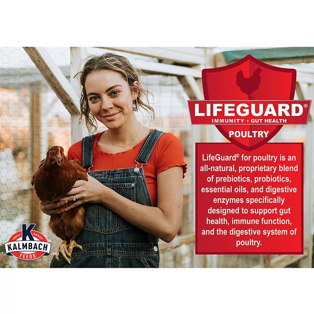 Care & Supplements<Kalmbach Feeds ® Poultry Block Supplement