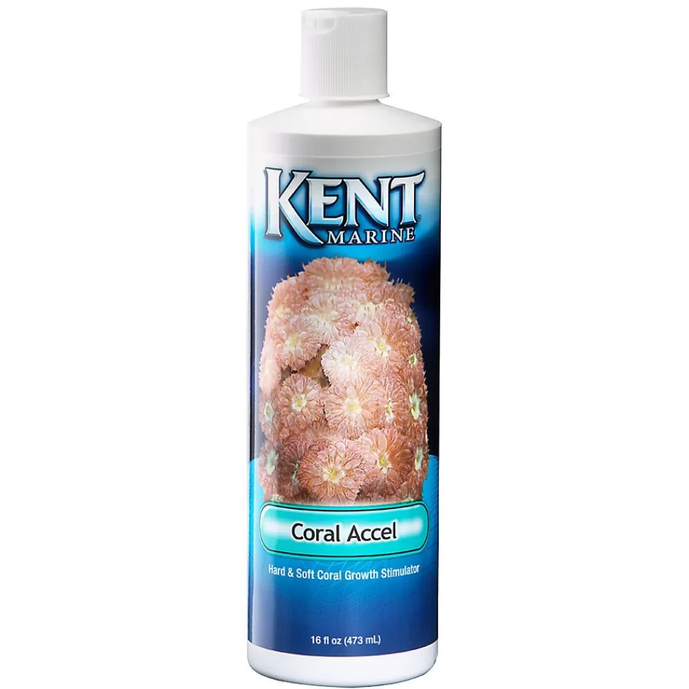 Water Care & Conditioning<Kent Marine ® Coral Accel
