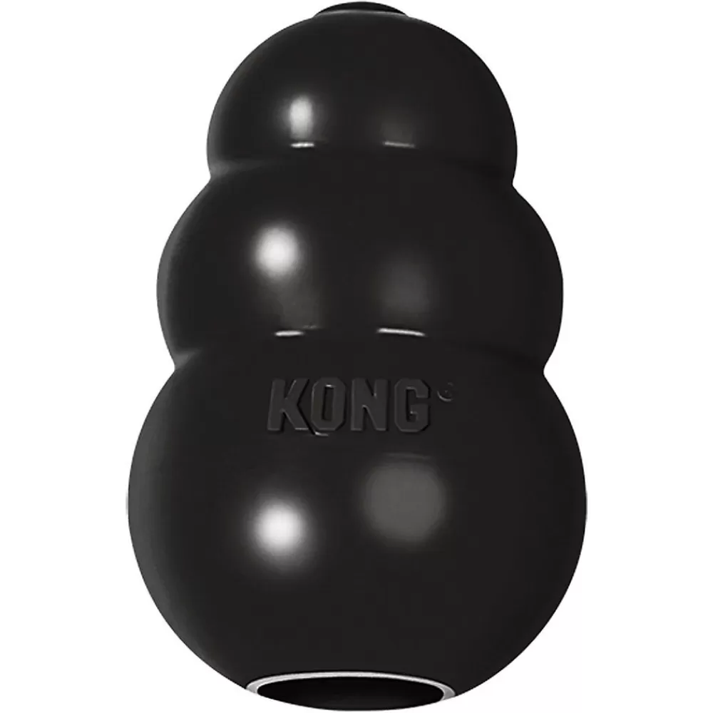 Toys<KONG ® Extreme Dog Toy -Treat Dispensing Black