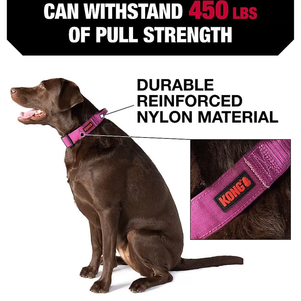 Collars, Harnesses & Leashes<KONG ® Handle Dog Collar Pink