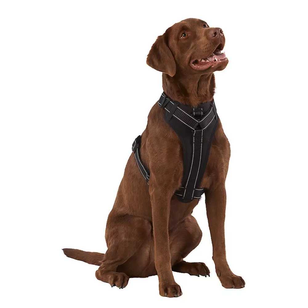 Collars, Harnesses & Leashes<KONG ® Max Neoprene Padded Dog Harness Black