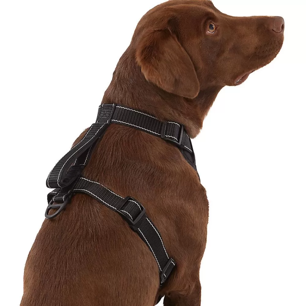 Collars, Harnesses & Leashes<KONG ® Max Neoprene Padded Dog Harness Black