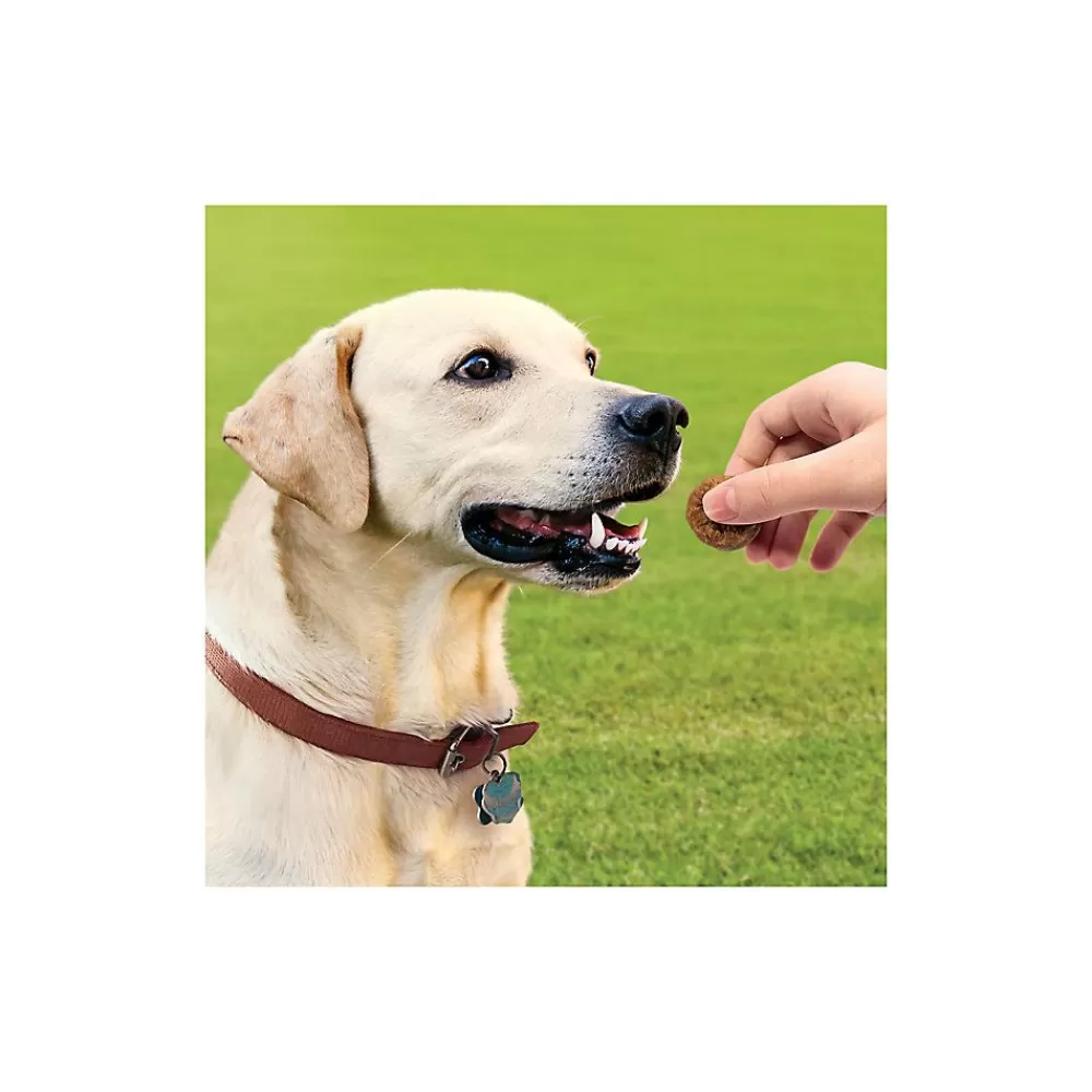 Training & Behavior<KONG ® Meatball Dog Treats - Chicken