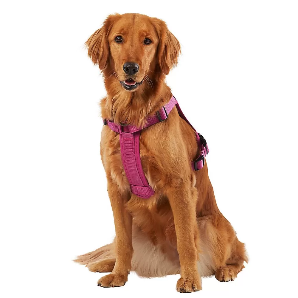 Collars, Harnesses & Leashes<KONG ® Reflective Waste Bag Dog Harness Pink