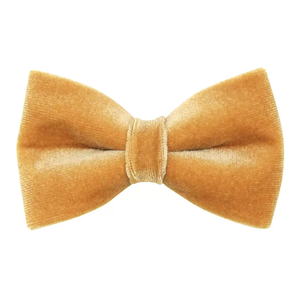 Clothing & Accessories<Made By Cleo ® Velvetcaramel Gold Cat Bow Tie