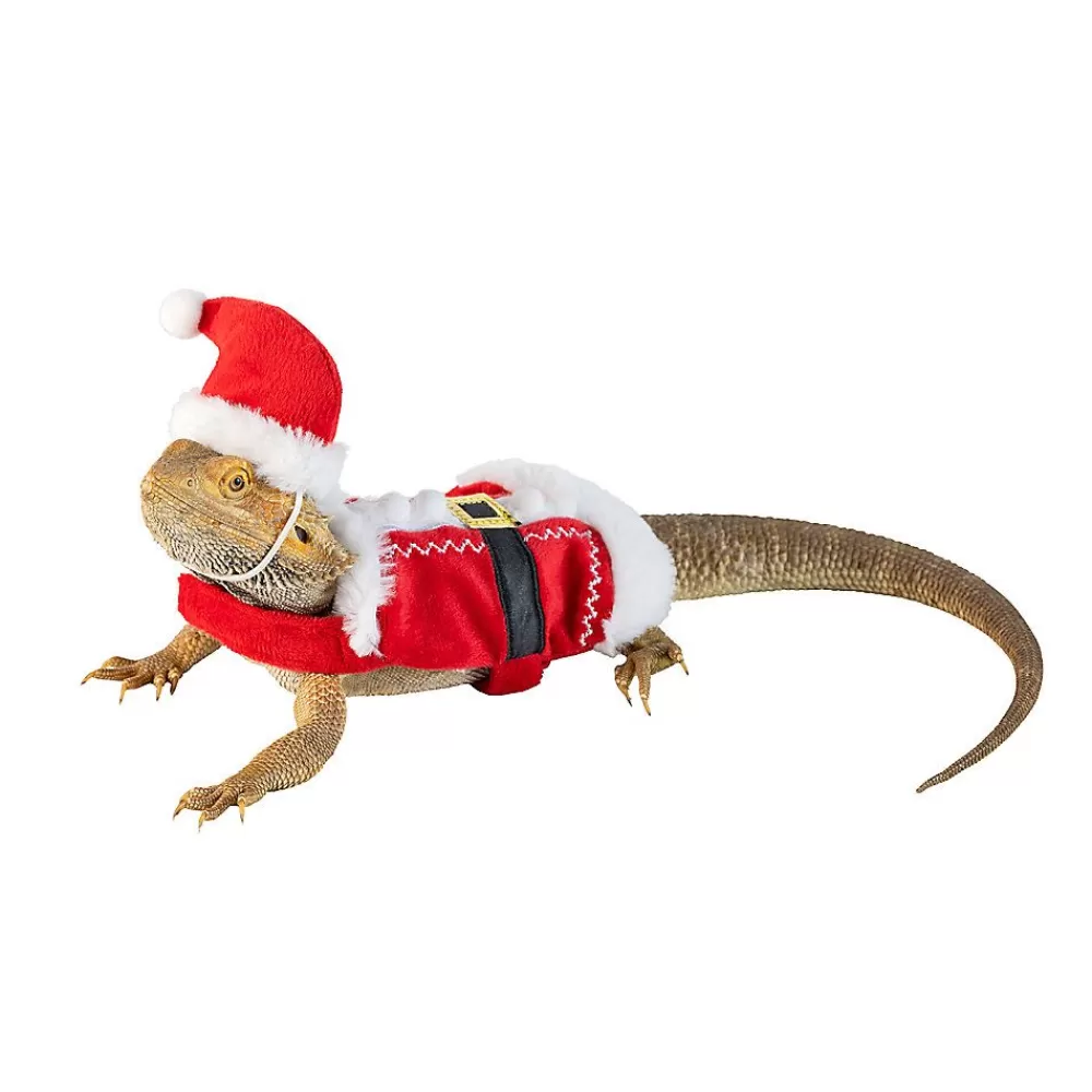 Habitat Accessories<Merry & Bright Santa Reptile Costume