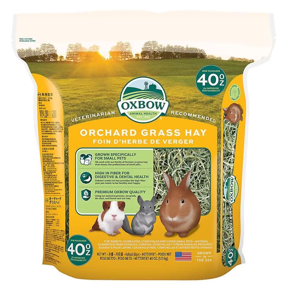 Hedgehog & Sugar Glider<Oxbow Orchard Grass