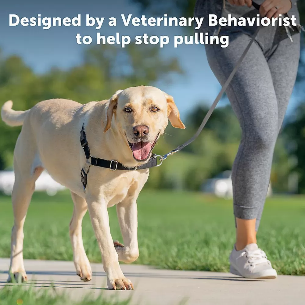 Collars, Harnesses & Leashes<PetSafe ® Easy Walk Dog Harness Black