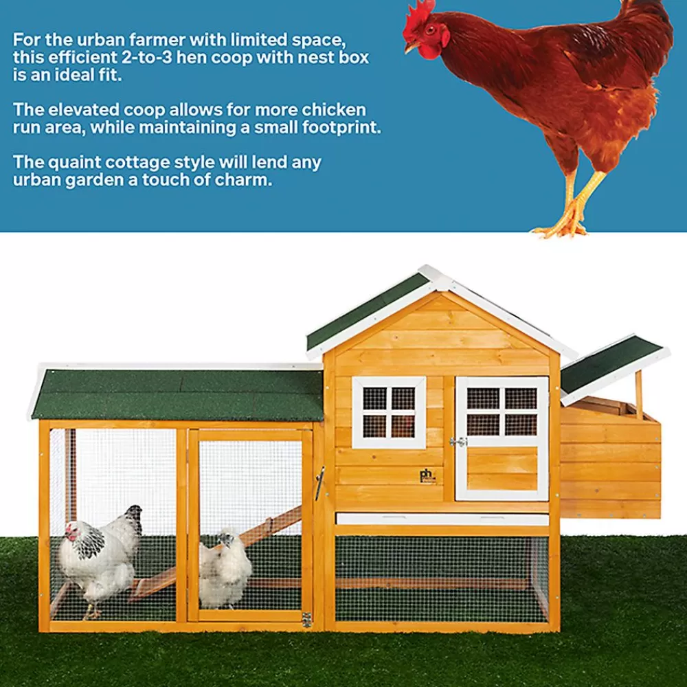 Coops<Prevue Pet Products Chicken & Duck Coop With Nest Box