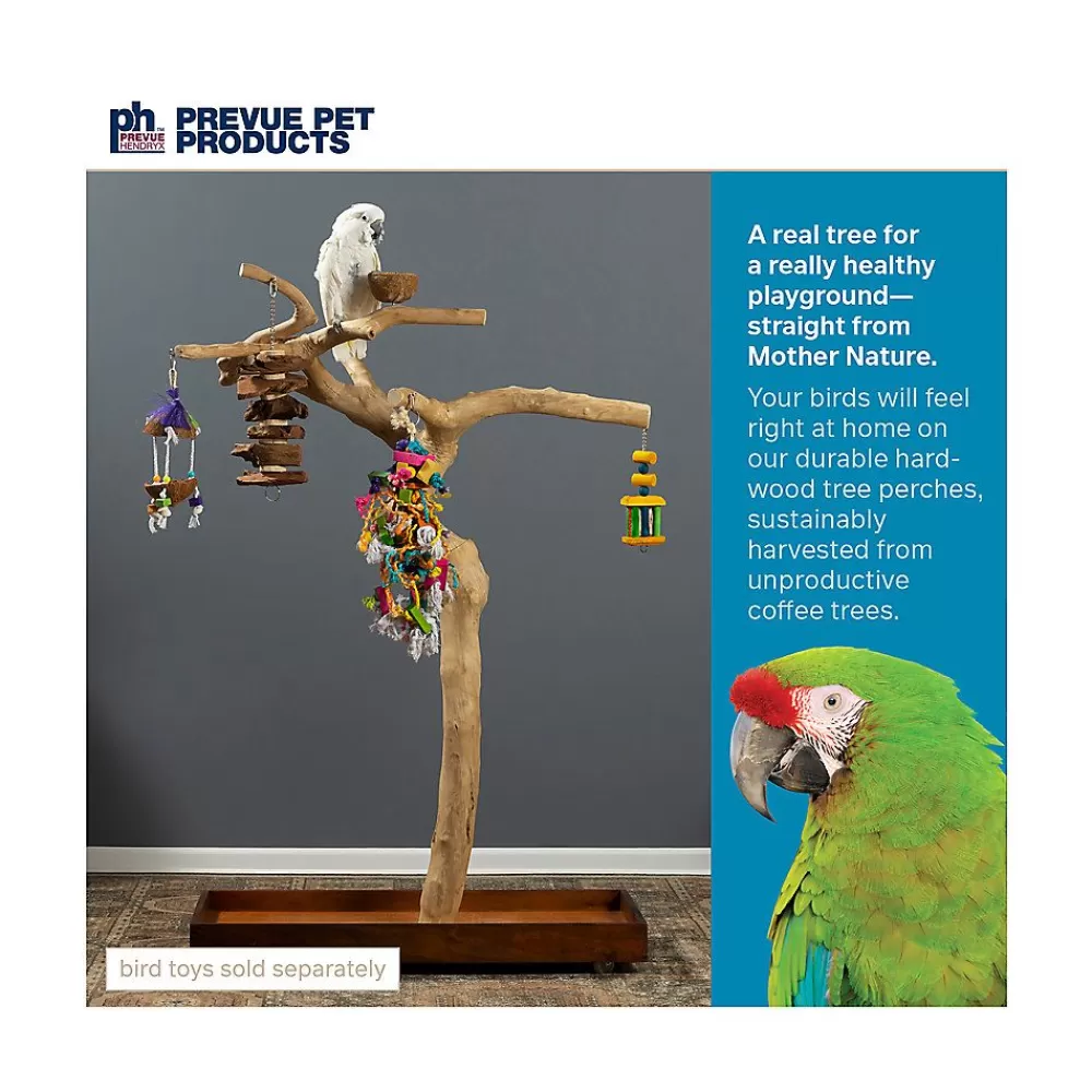 Stands<Prevue Pet Products Coffeawood Java Tree Large Floor Playstand