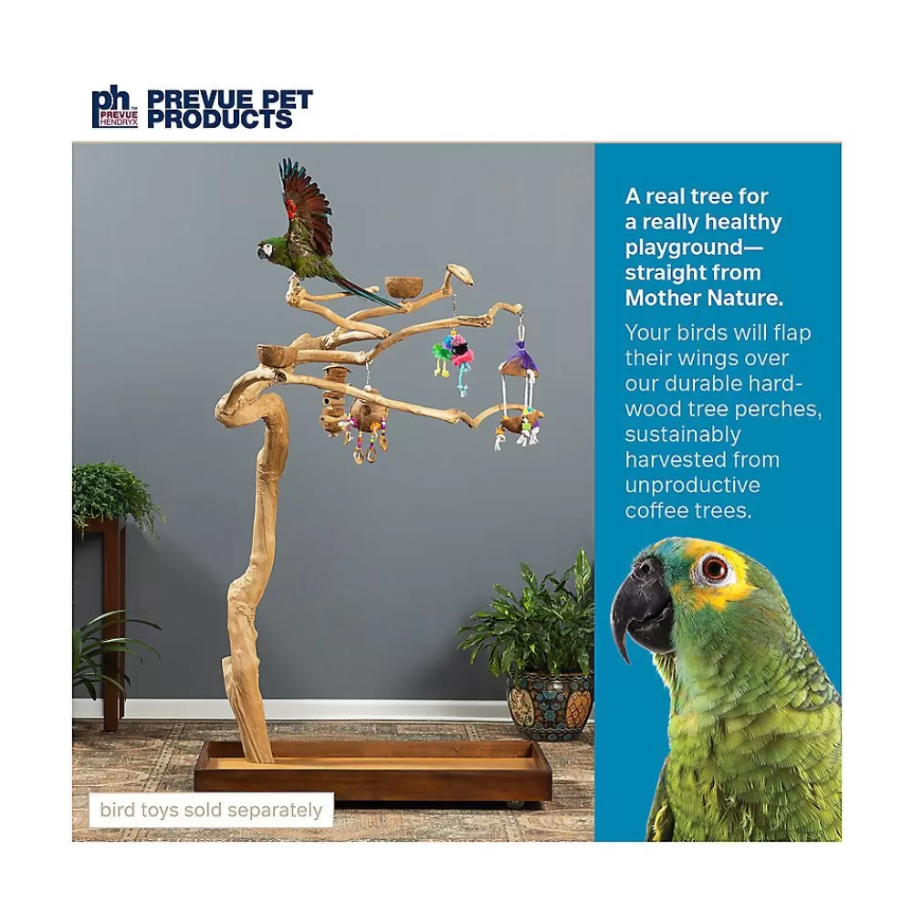 Stands<Prevue Pet Products Coffeawood Java Tree Medium Floor Playstand