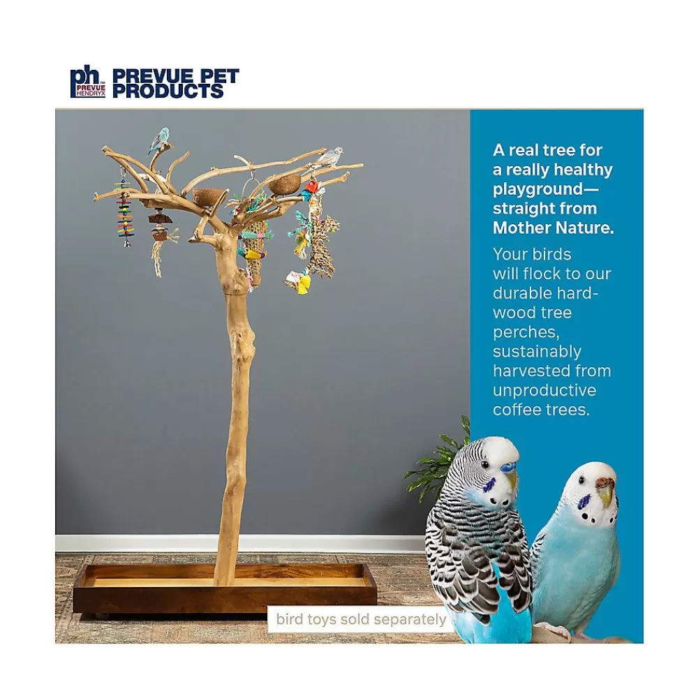 Stands<Prevue Pet Products Coffeawood Java Tree Small Floor Playstand