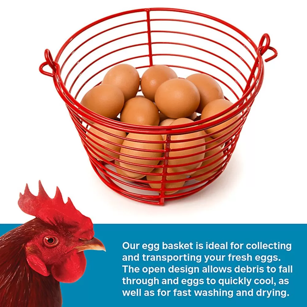 Nesting & Egg Supplies<Prevue Pet Products Egg Basket