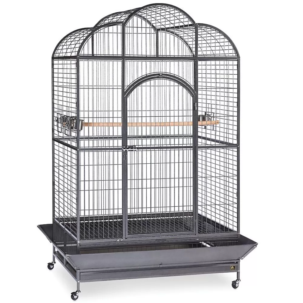 Cages<Prevue Pet Products Silverado Macaw Cage Black