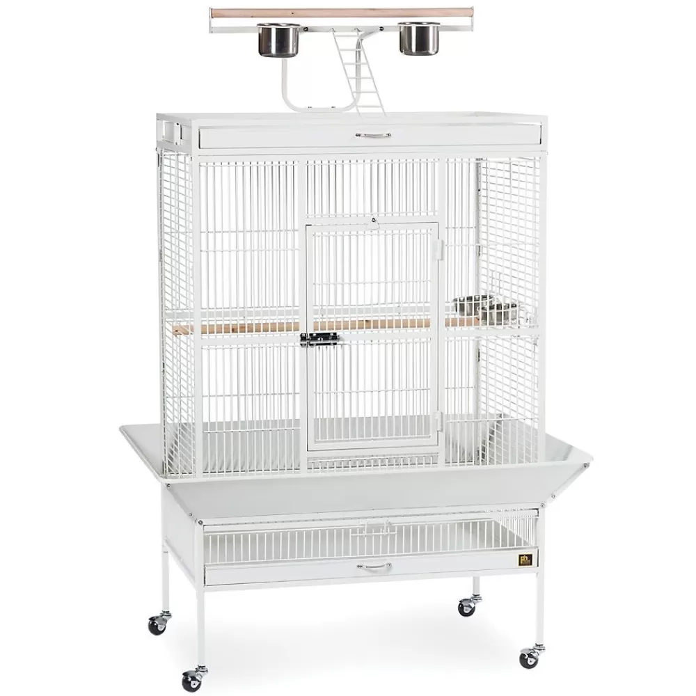 Cages<Prevue Pet Products Wrought Iron Select Bird Cage White
