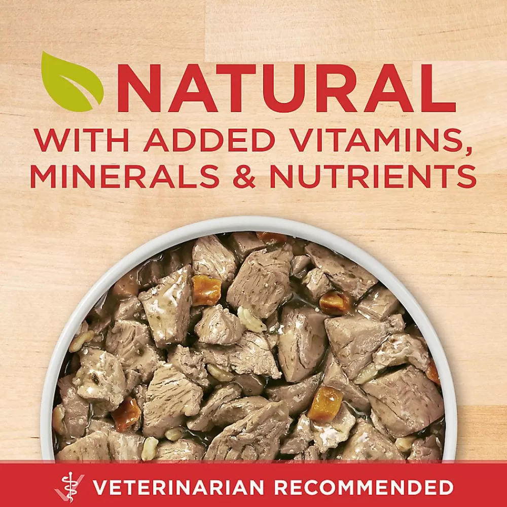 Canned Food<Purina ONE ® Smartblend Everyday Nutrition Adult Dog Wet Food - 13 Oz., Natural