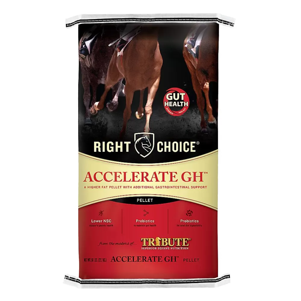 Feed<Right Choice ® Accelerate Gh® Horse Feed