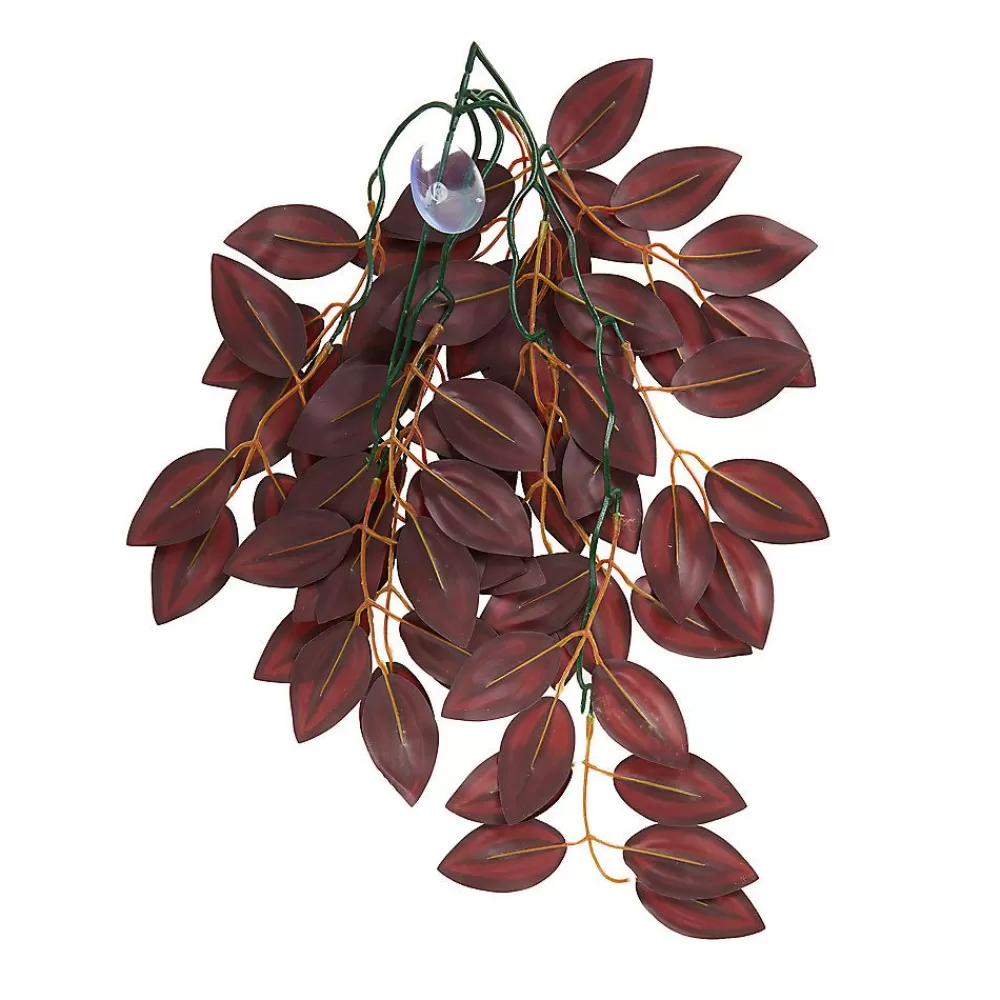 Habitat Decor<Thrive Hanging Vine Terrarium Plant