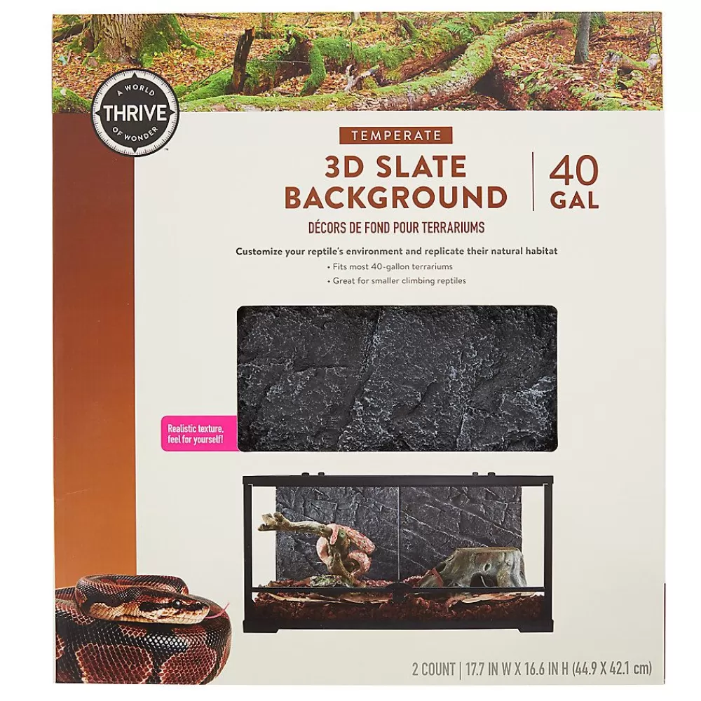 Habitat Decor<Thrive Temperate 3D Slate Background