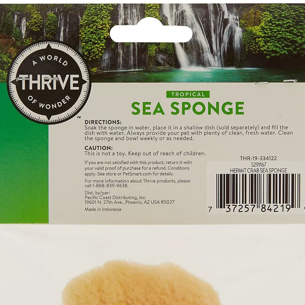 Humidity & Temperature Control<Thrive Tropical Hermit Crab Sea Sponge